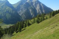 2015-07-01_1Pano-bei-Lacke (320).JPG